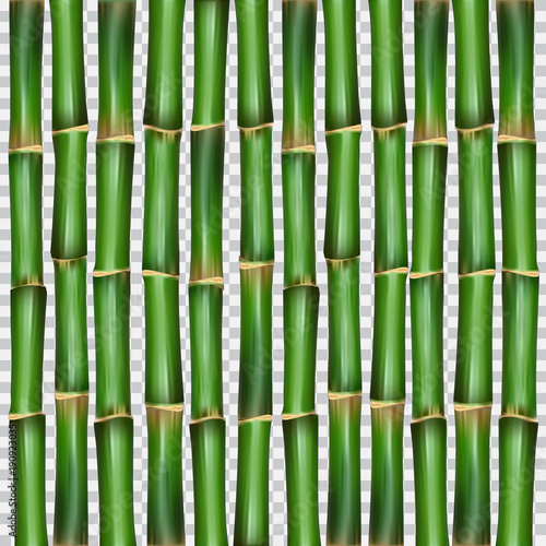 Bamboo grass oriental wallpaper vector illustration
