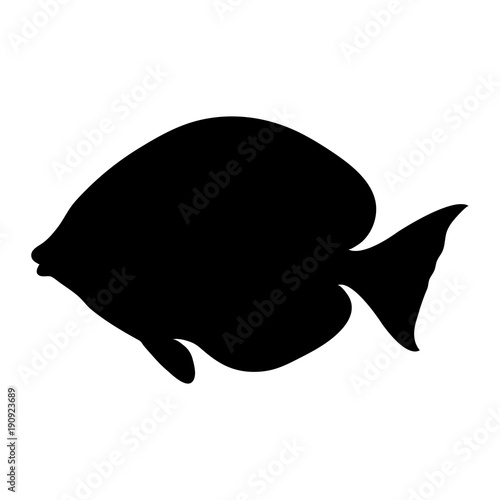 Isolated "Atlantic Blue Tang" fish (or Blue Doctorfish, Acanthurus Coeruleus) black silhouette - Eps10 vector graphics and illustration
