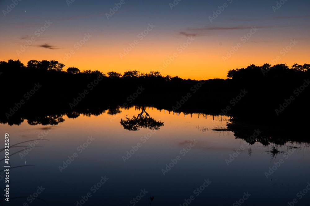 Reflektion von einem Baum in See bei Sonnenuntergang Reflektion von einem Baum in See bei Sonnenuntergang