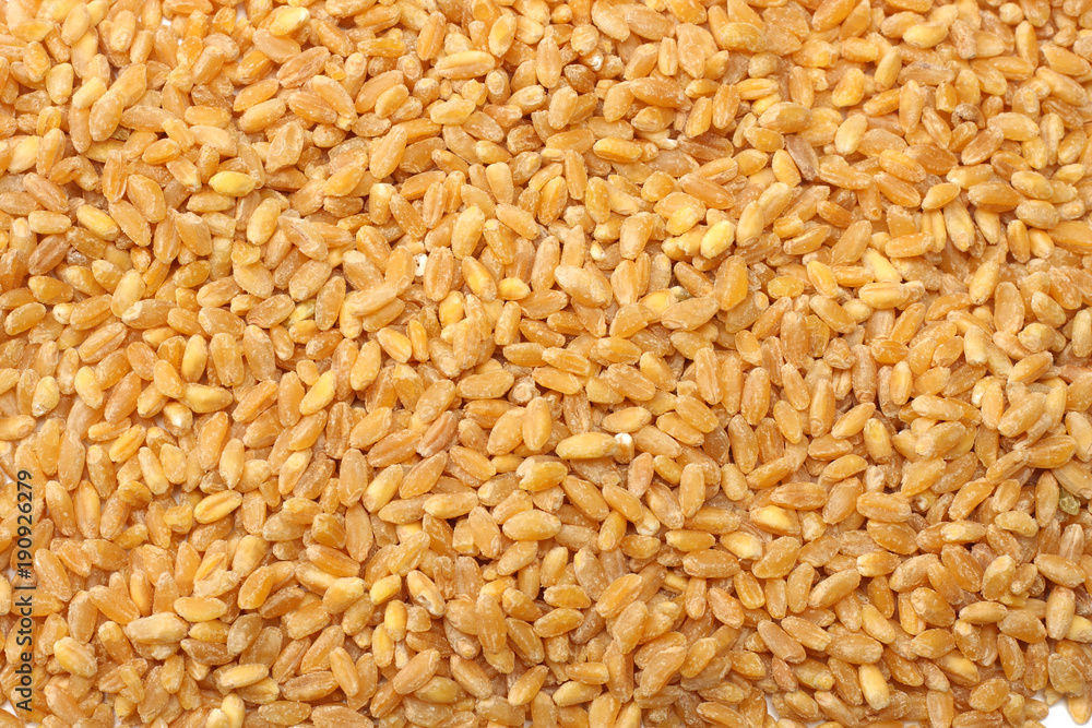 wheat grains isolated on white background. top view wheat grains isolated on white background. top view