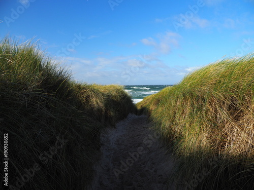 Darßer Weststrand, Nationalpark Vorpommersche Boddenlandschaft, Mecklenburg Vorpommern, Deutschland photo