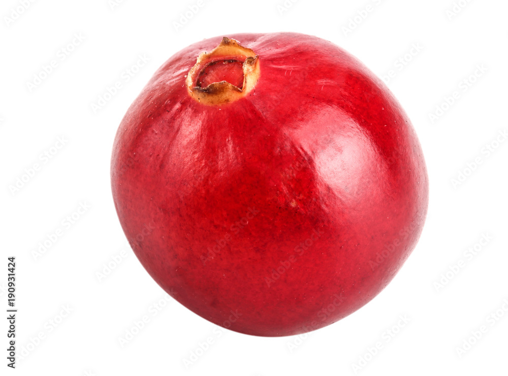 Cranberry isolated on white background closeup macro Cranberry isolated on white background closeup macro