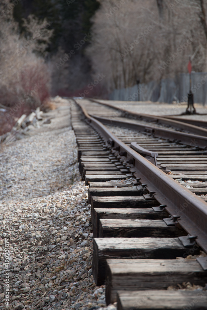 Fototapeta premium Canyon Train Tracks