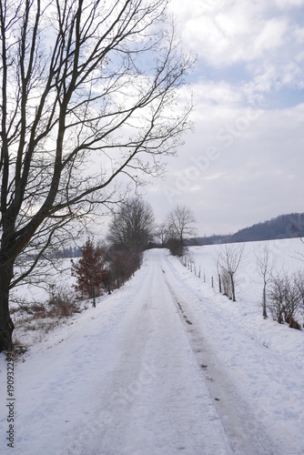 winter landscape © Tom