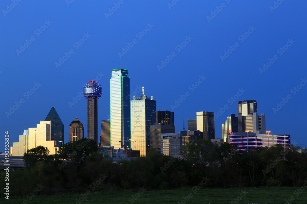 Dallas Downtown Cityscape
