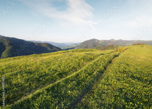 Road on the mountain hill. Bautiful natura landscape in the summer time