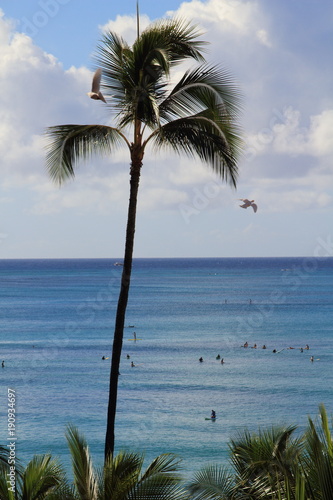 Waikiki is a beachfront neighborhood of Honolulu on the south shore of the island of Oahu in the U.S. state of Hawaii photo