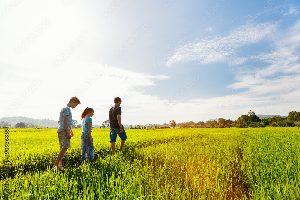 Family walking in rice field