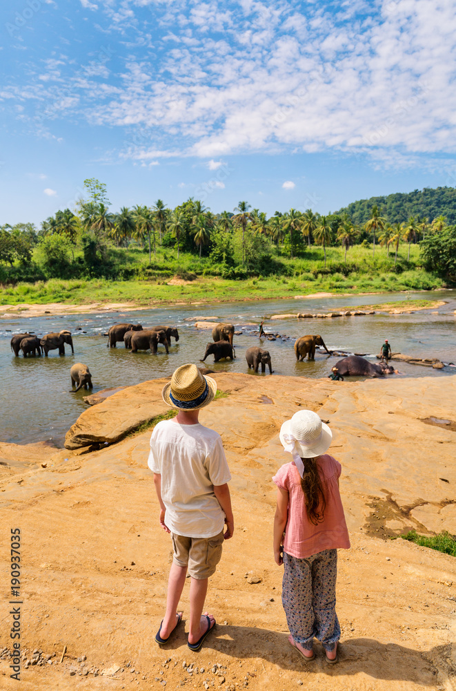Naklejka premium Kids watching elephants
