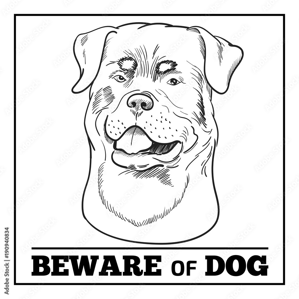 Rottweiler dog and beware sign isolated on white background. Purebred watchdog head hand drawn sketch. Beware of dog sign.