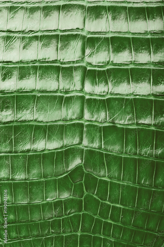 Green Crocodile skin texture and background.Alligator skin texture. Stock  Photo