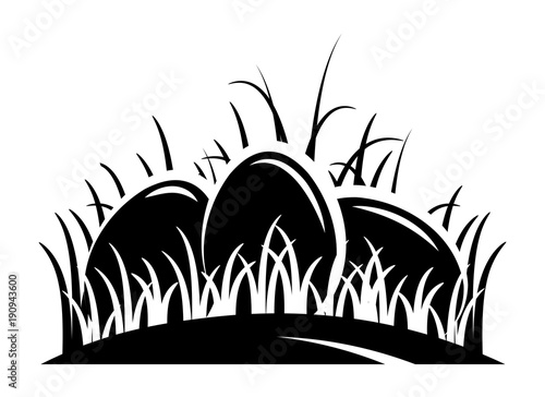 eggs in grass