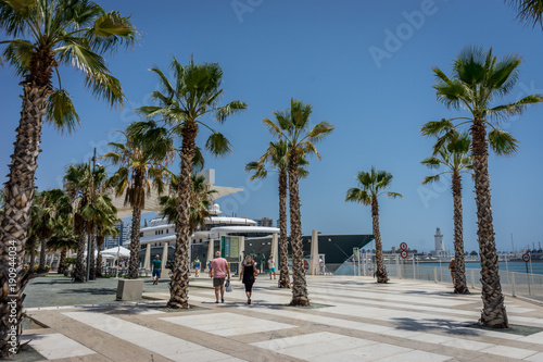 Tall palm trees in front a white lighthouse at Malagueta beach in Malaga, Spain, Europe