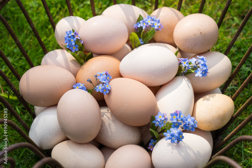 Basket with eggs on the grass to find on easter morning Basket with eggs on the grass to find on easter morning