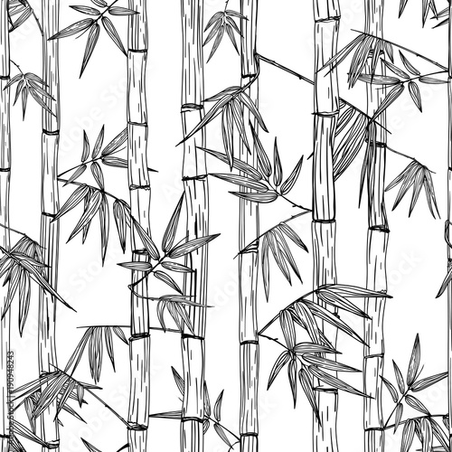 Naklejka Wektorowy bezszwowy bambusowy lasu wzór. Czarno-białe ręcznie rysowane szkic tło. Projektowanie modnego druku tekstylnego, azjatyckiego spa i masażu, pakietu kosmetyków, materiałów meblowych.