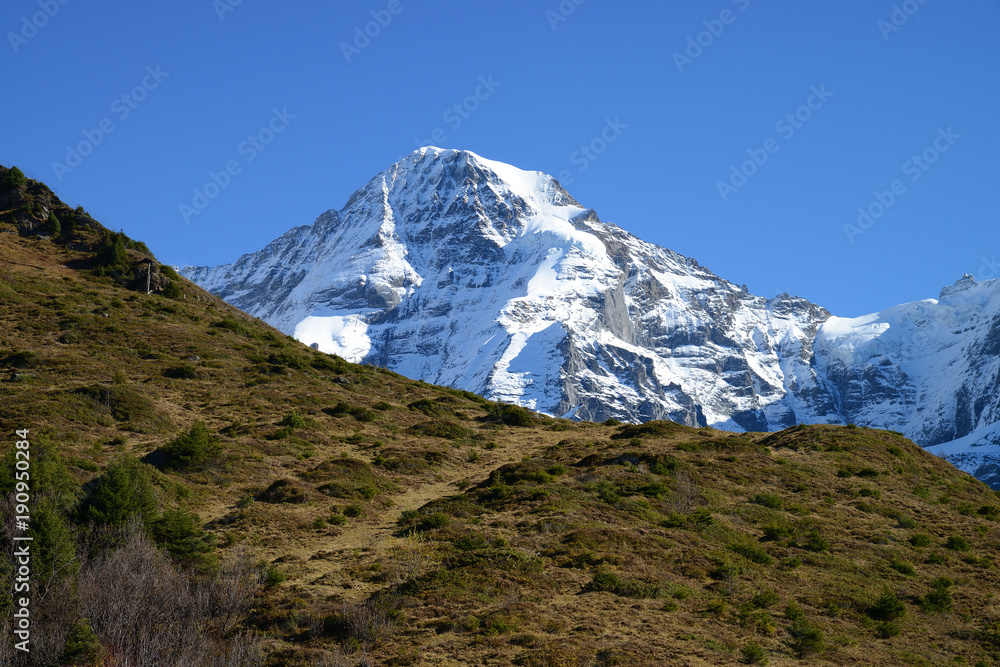 Fototapeta premium Kleine Scheidegg to Lauterbrunnen Hike, Jungfrau region, Switzerland