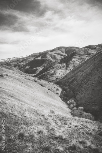 Foothills Valley, Black and White Landscape