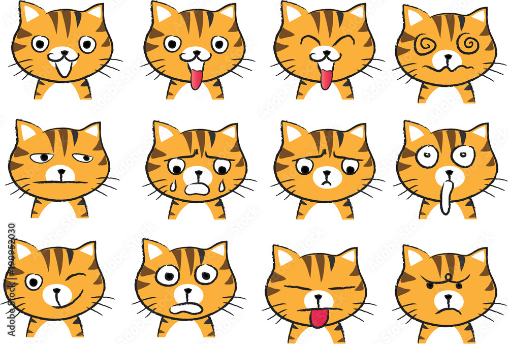 cat Expression package cat Expression package