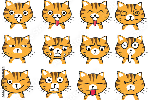 cat Expression package