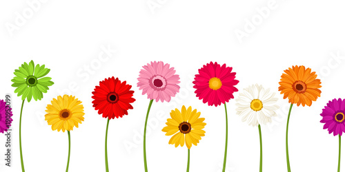 Valokuvatapetti Vector horizontal seamless background with colorful gerbera flowers