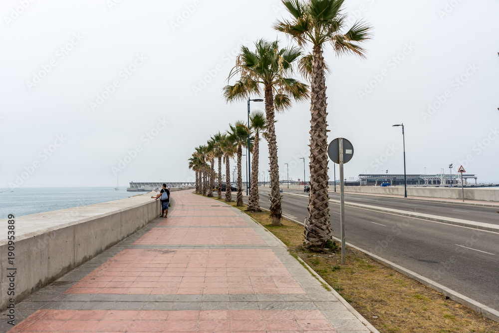 Tall palm trees along the Malaguera beach with sea in the background in Malaga, Spain, Europe on a cloudy morning Tall palm trees along the Malaguera beach with sea in the background in Malaga, Spain, Europe on a cloudy morning
