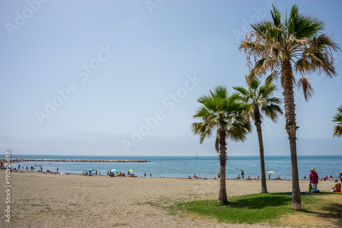 Tall twin palm trees along the Malaguera beach with ocean in the background in Malaga  Spain  Europe