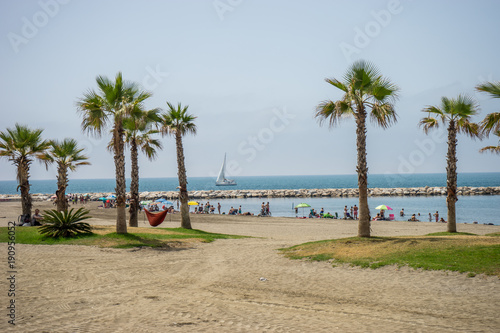 A collective bunch of palm trees with an hammock at Malagueta beach with the ocean in the background in Malaga  Spain  Europe