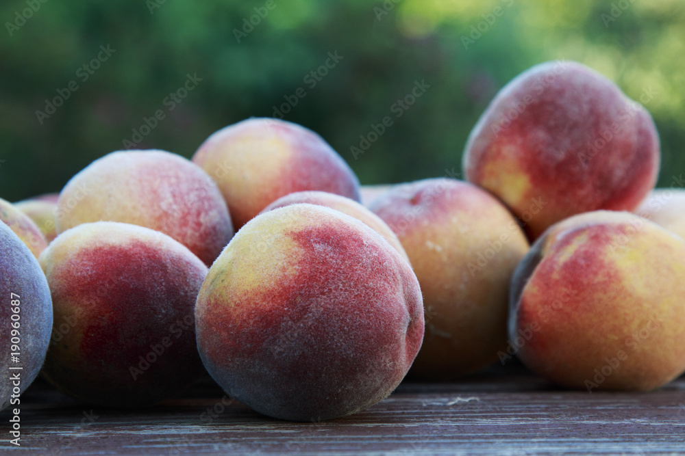 Fresh picked Fuzzy peaches gathered on a table Fresh picked Fuzzy peaches gathered on a table