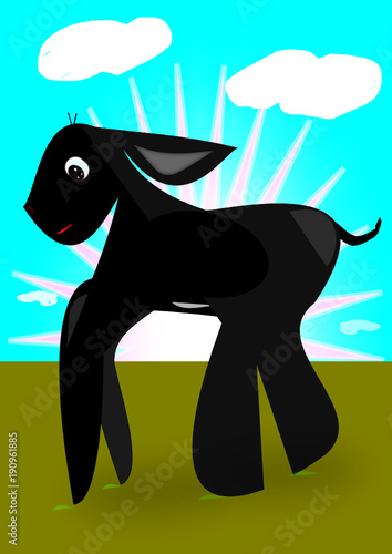 Burro bebé negro en el prado en un día espléndido de cielo azul y con un sol maravilloso.