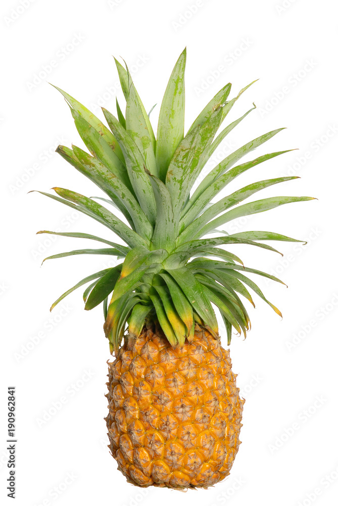 Fresh pineapple fruit on white background Fresh pineapple fruit on white background