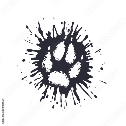 predator paw print among the mud splashes.