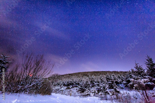 Twinkling stars with snow around at forest