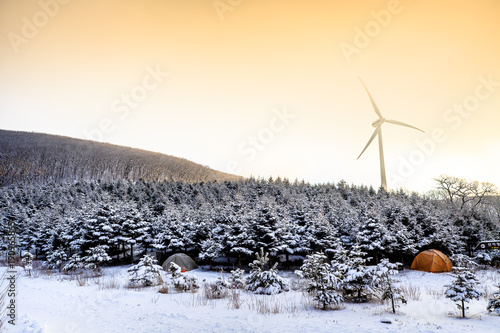 Beautiful nature scenes at winter