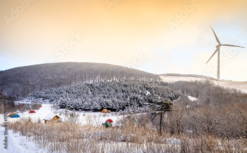 Beautiful nature scenes at winter