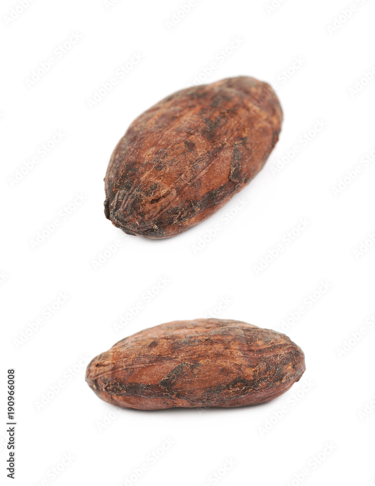 Fototapeta premium Single cocoa bean isolated