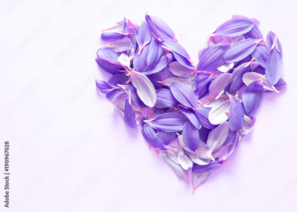 Heart made by flower's petals
Heart made by flower's petals