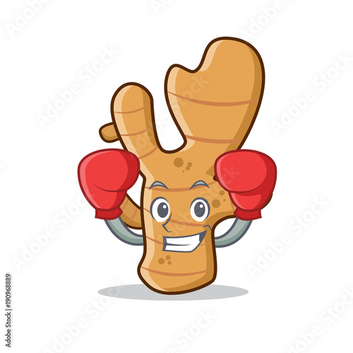 Boxing ginger character cartoon style