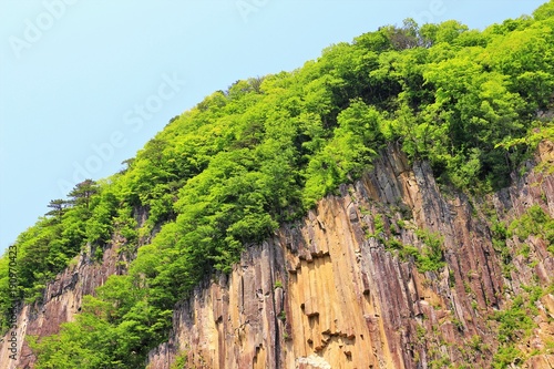 新緑の材木岩
