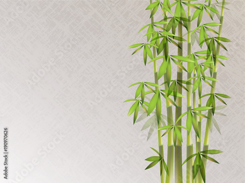 Chinese Retro Style Bamboo Background 