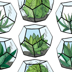Sierkussen Terrariumplanten patronen Naadloos patroon florarium met vetplanten  © Anna Tyukhmeneva