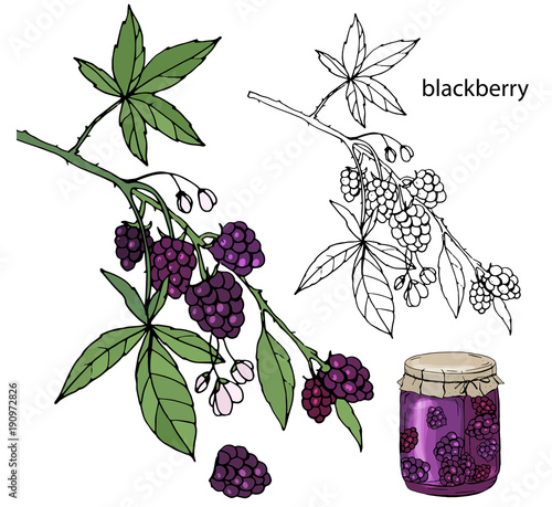 Berries and jam