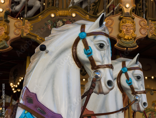 Two White Carousel Ponies with brown bridles on a merry go round in Avignon, France. The golden carousel in in the background. photo