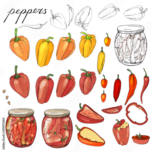 Isolated peppers. Various color, food made of paprika and chilli. photo