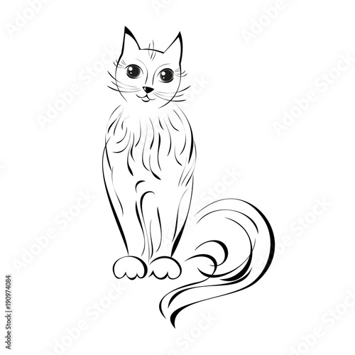 cats 1. fluffy cat sits quietly and looks