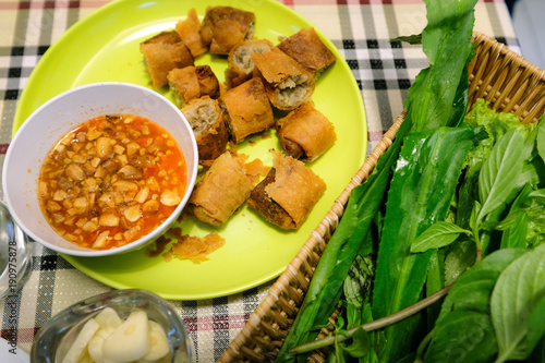 Vietnamese Spring Roll