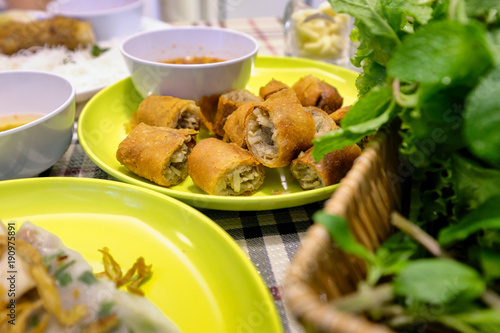 Vietnamese Spring Roll