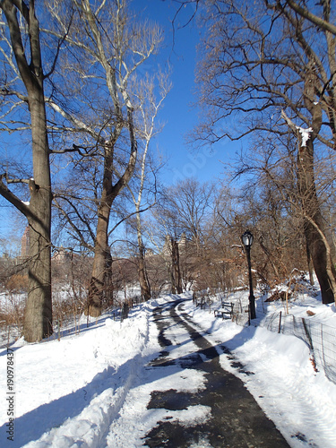 Path in Snowy Park