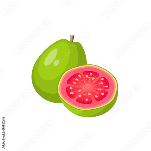 Summer tropical fruits for healthy lifestyle. Guava, whole fruit and half. Vector illustration cartoon flat icon isolated on white. photo