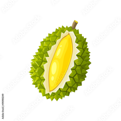 Summer tropical fruits for healthy lifestyle. Durian fruit. Vector illustration cartoon flat icon isolated on white.