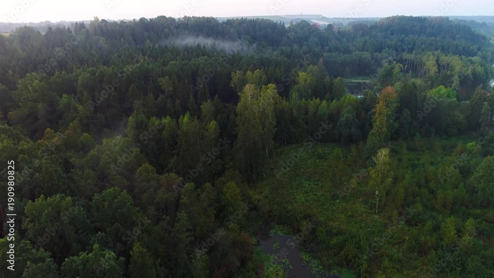 flying above green forest at summer time flying above green forest at summer time
